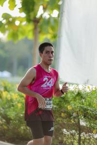 BIB: 
                            <button type="button" onclick="openModal(26556656)" class="btn btn-primary btn-sm float-right btn-popup" data-toggle="modal" data-target=".modal-high-quality">
                        <i class="fas fa-shopping-cart"></i> Add to Cart
                    </button>
                                            <button type="button" onclick="isThisMe(26556656, true)" class="btn btn-success btn-sm float-right btn-popup btn-isme hidden" data-toggle="tooltip" data-placement="bottom" title="นี่คือรูปของคุณใช่ไหม คลิกที่นี่เพื่อเอาเข้าอัลบั้ม">
                        <i class="fas fa-plus"></i> Add to album
                    </button>
                    <button type="button" onclick="isThisMe(26556656, false)" class="btn btn-warning btn-sm float-right btn-popup btn-isnotme hidden">
                        <i class="fas fa-ban"></i> Remove from album
                    </button>